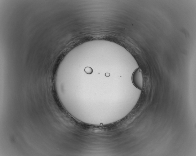 X0000111930655200907271031