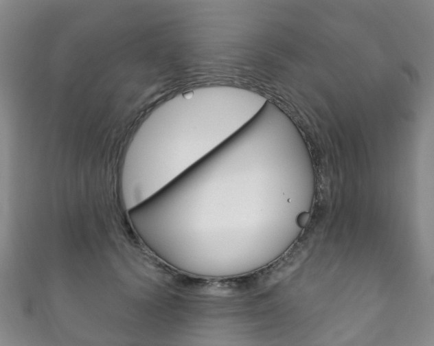X0000111930656200907271031