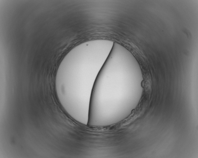 X0000111930661200907271032