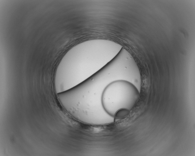 X0000111930662200907271032