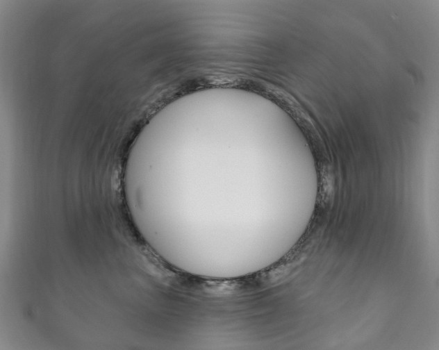 X0000111930667200907271032