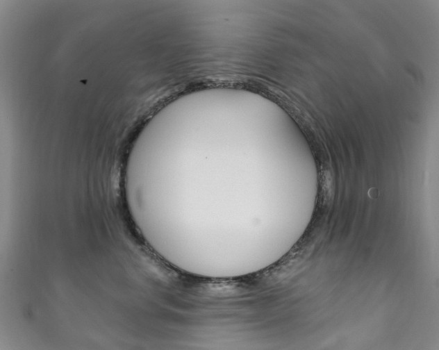 X0000111930668200907271032