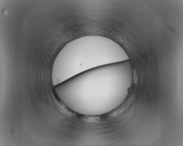 X0000111930670200907271032