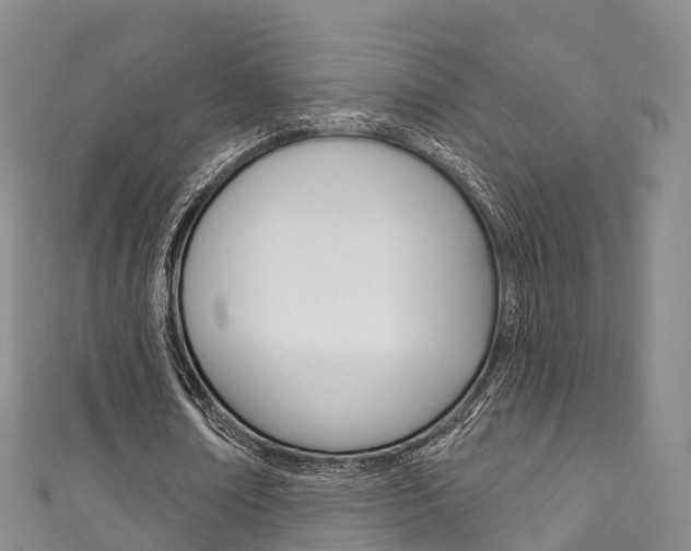 X0000111930674200907271031