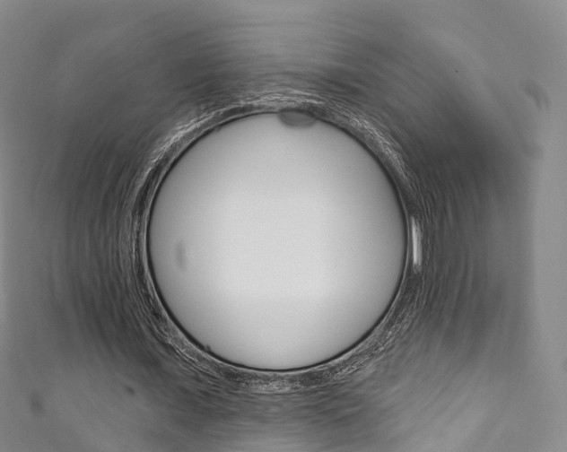 X0000111930675200907271031
