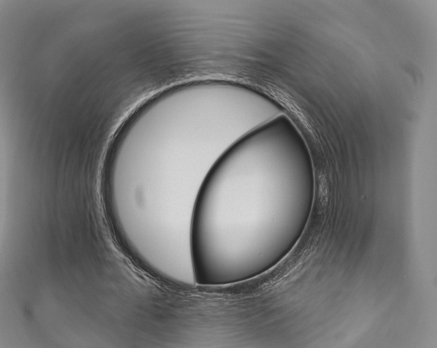 X0000111930676200907271031