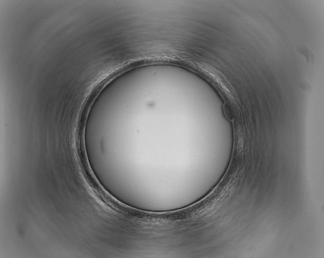 X0000111930677200907271031