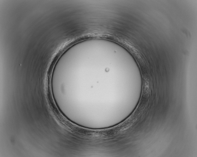 X0000111930678200907271031