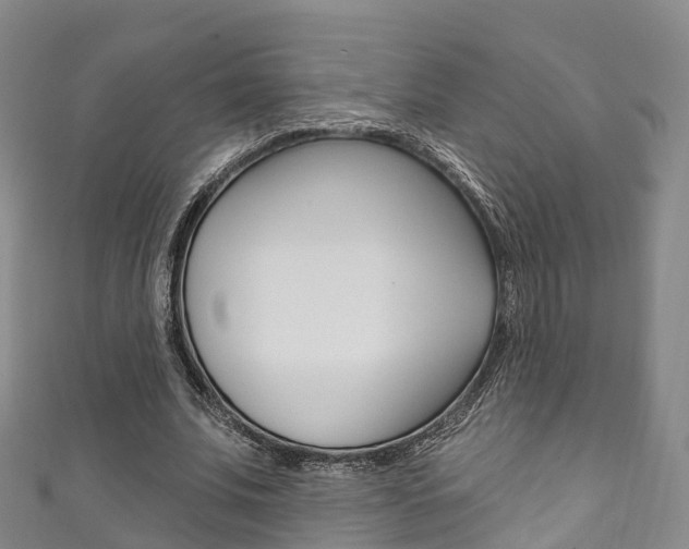 X0000111930679200907271031
