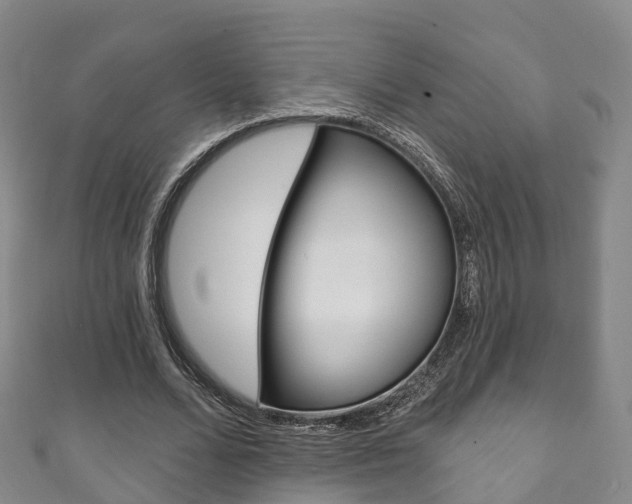 X0000111930680200907271031