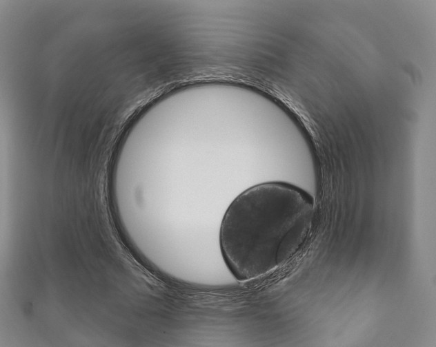 X0000111930681200907271031