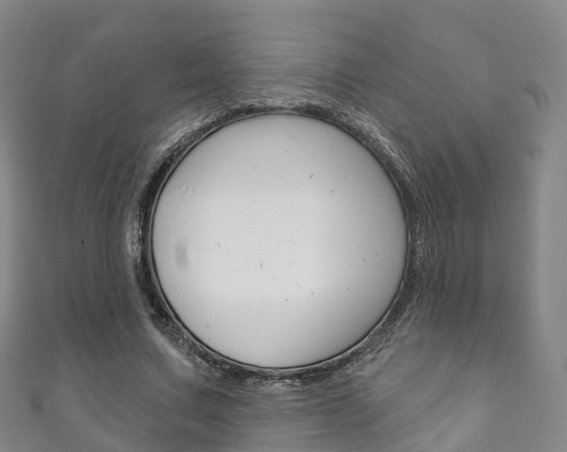 X0000111930683200907271031
