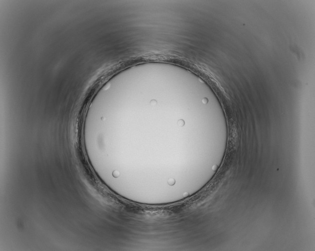 X0000111930686200907271031