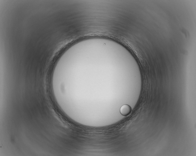 X0000111930688200907271031