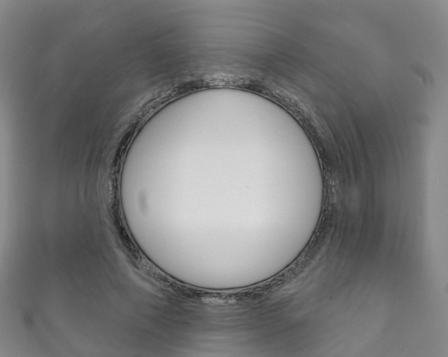 X0000111930690200907271031