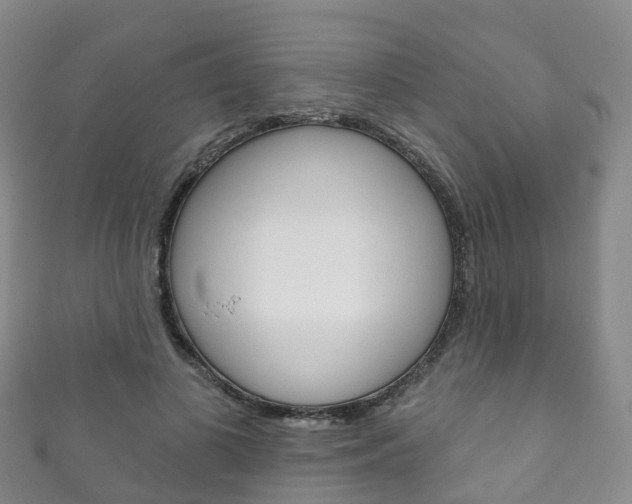 X0000111930693200907271031