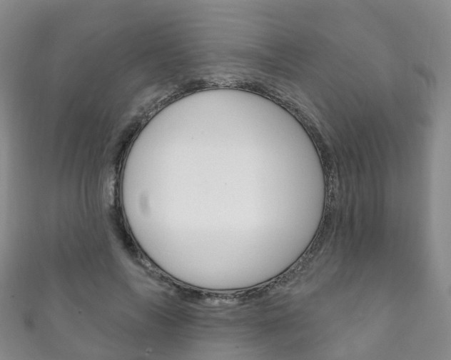 X0000111930694200907271031