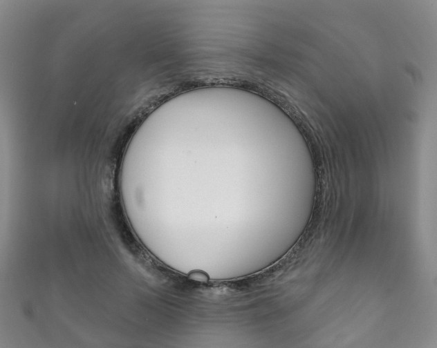 X0000111930695200907271031
