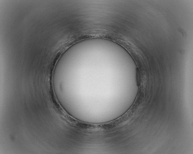 X0000111930696200907271031