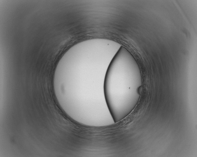 X0000111930697200907271031