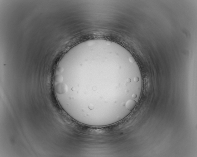 X0000111930698200907271031