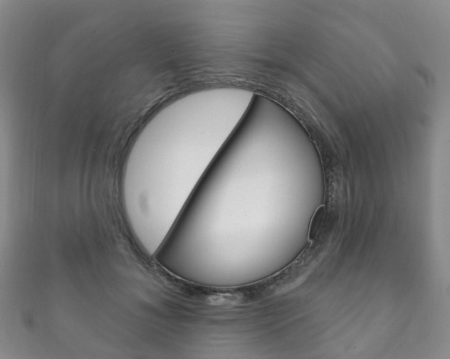 X0000111930700200907271031