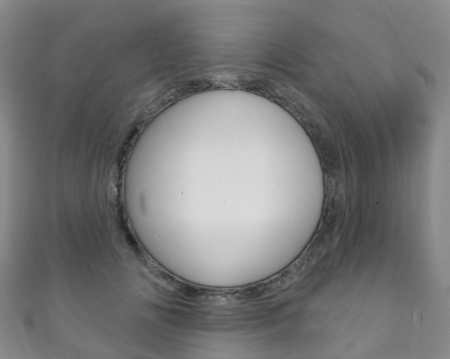 X0000111930702200907271031