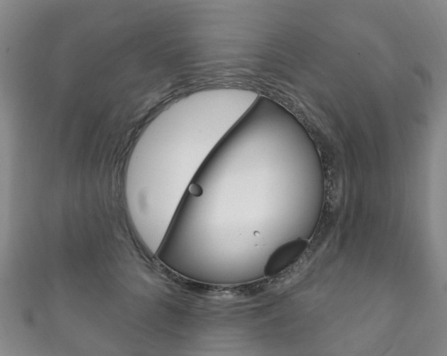 X0000111930704200907271031
