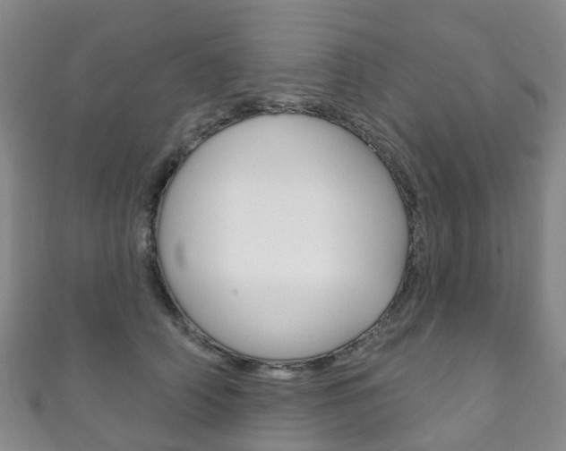 X0000111930706200907271031