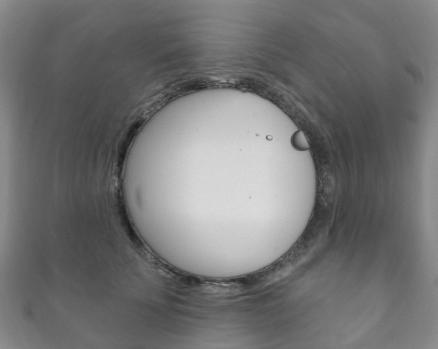 X0000111930707200907271031