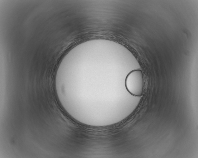 X0000111930708200907271031