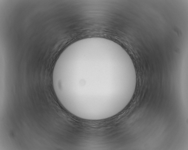 X0000111930709200907271031
