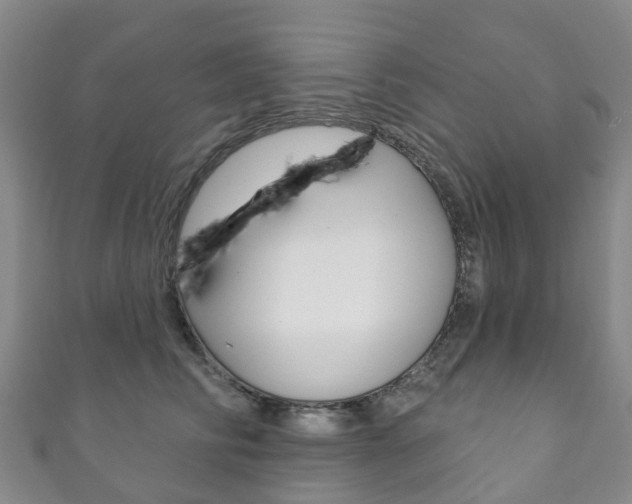 X0000111930710200907271031
