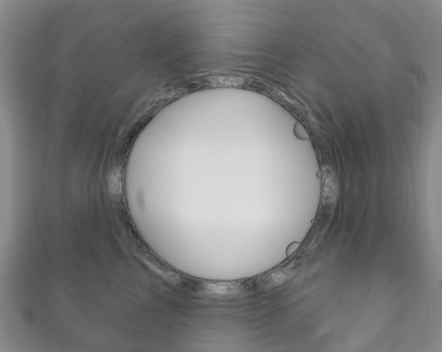X0000111930713200907271031