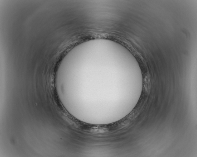 X0000111930714200907271031