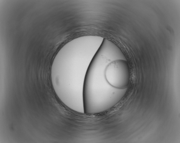 X0000111930715200907271031