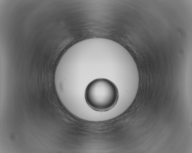 X0000111930716200907271031