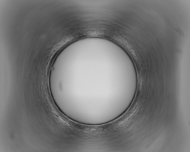 X0000111930721200907271030