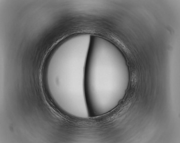 X0000111930722200907271030