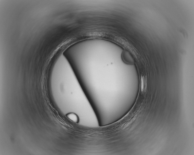 X0000111930723200907271030