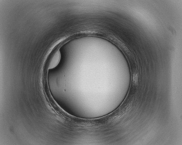 X0000111930724200907271030