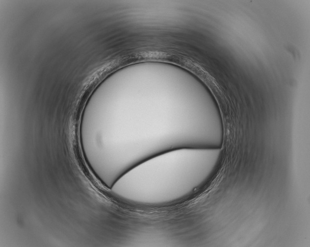 X0000111930725200907271030