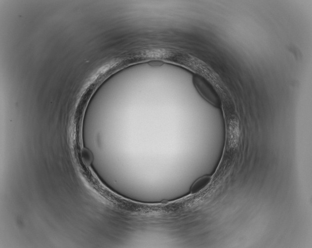 X0000111930726200907271030