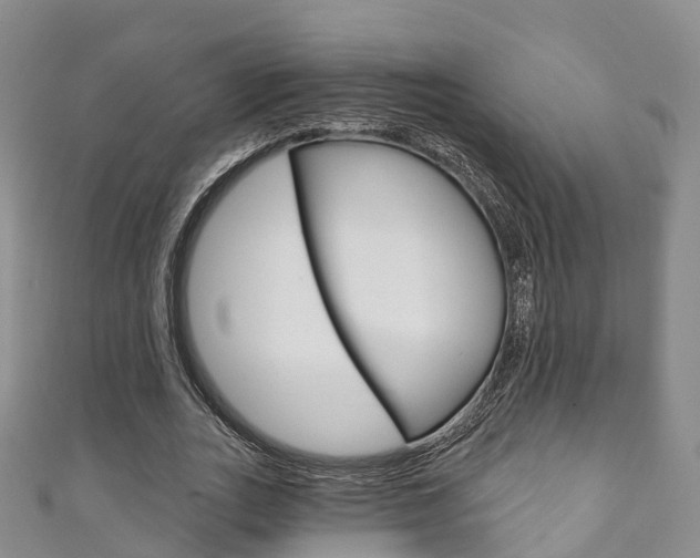 X0000111930727200907271030