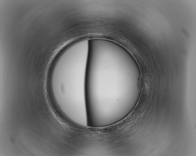 X0000111930728200907271030