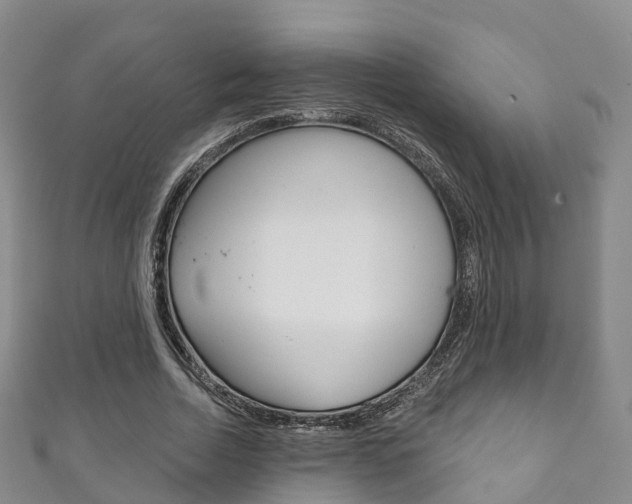 X0000111930730200907271030