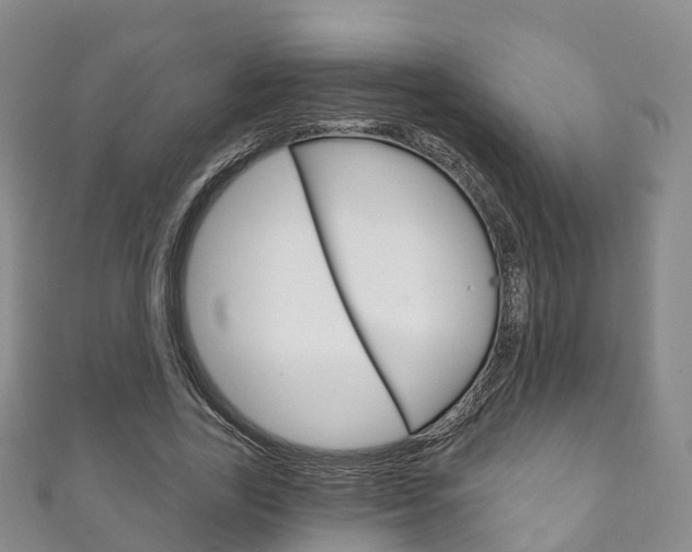 X0000111930731200907271030