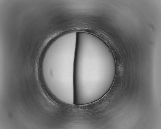 X0000111930732200907271030