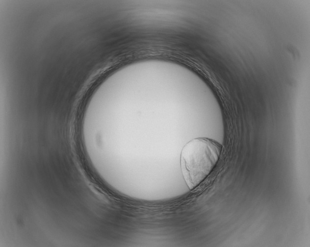 X0000111930736200907271030