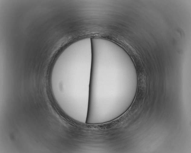 X0000111930738200907271030
